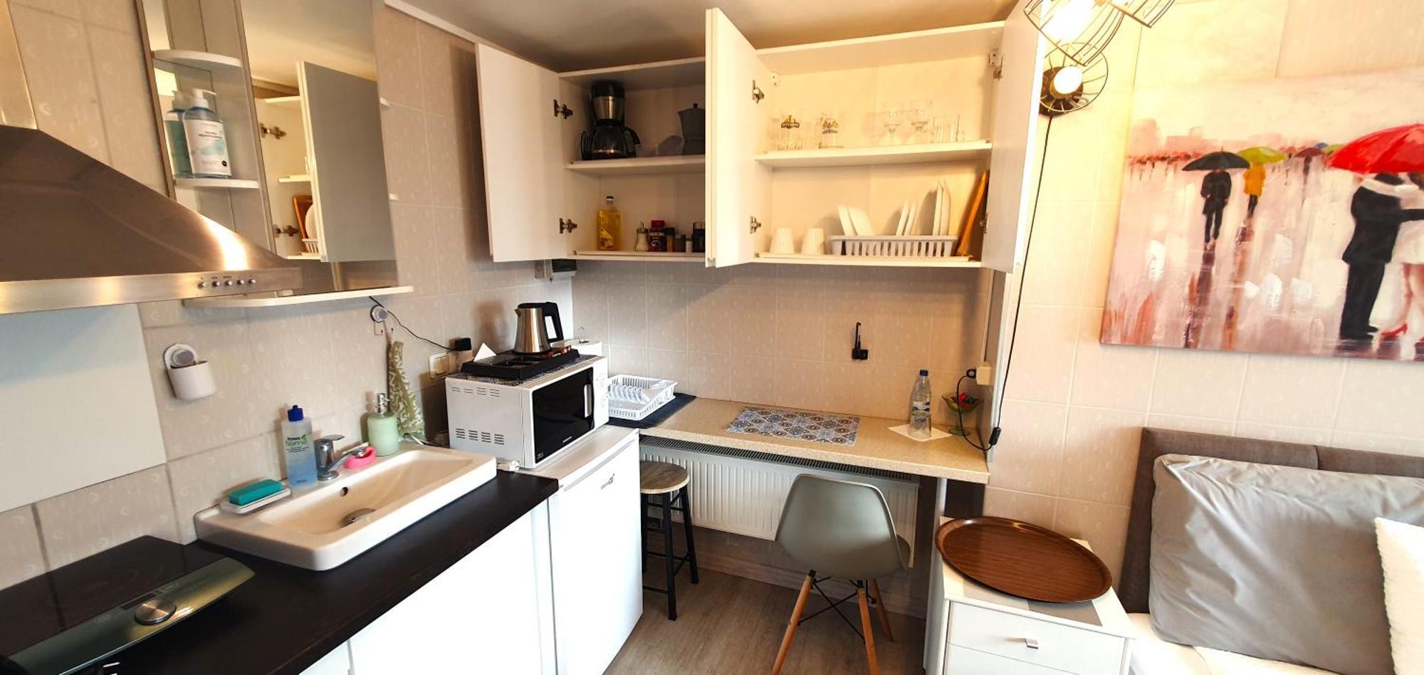 Aparthotel 1 ,, Cosy House Mini Studio " Κάουνας Εξωτερικό φωτογραφία